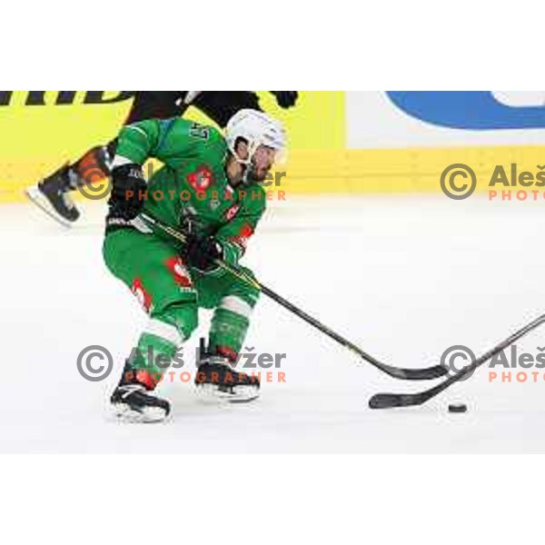 Joseph Garreffa of SZ Olimpija during CHL Champions League ice-hockey match between SZ Olimpija (SLO) and Wolfsburg Grizzlies (GER) in Tivoli Hall, Ljubljana, Slovenia on September 10, 2022
