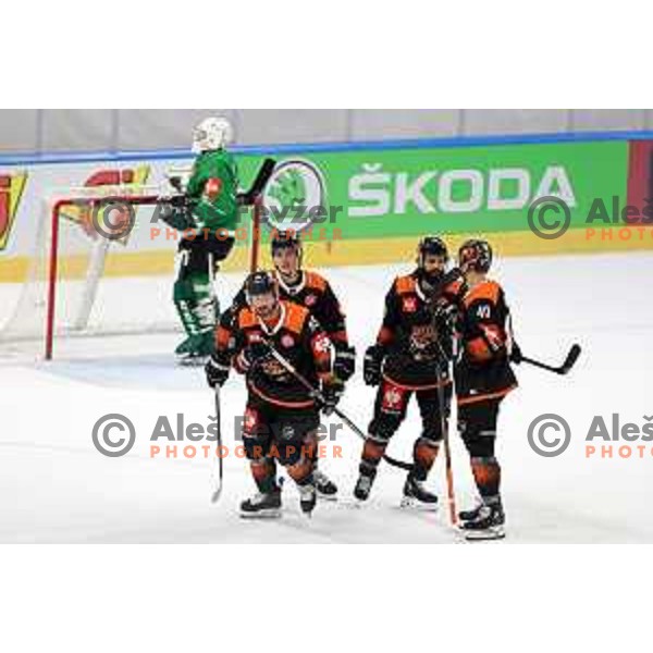 of SZ Olimpija during CHL Champions League ice-hockey match between SZ Olimpija (SLO) and Wolfsburg Grizzlies (GER) in Tivoli Hall, Ljubljana, Slovenia on September 10, 2022