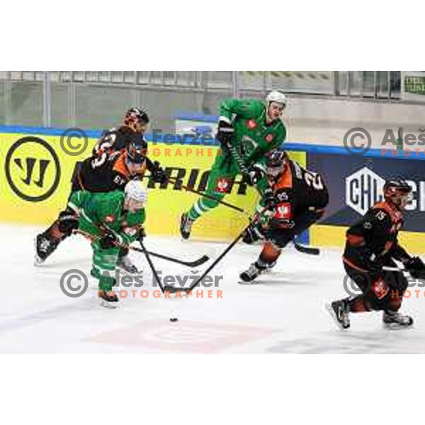 of SZ Olimpija during CHL Champions League ice-hockey match between SZ Olimpija (SLO) and Wolfsburg Grizzlies (GER) in Tivoli Hall, Ljubljana, Slovenia on September 10, 2022