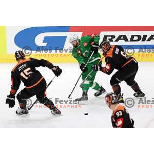 of SZ Olimpija during CHL Champions League ice-hockey match between SZ Olimpija (SLO) and Wolfsburg Grizzlies (GER) in Tivoli Hall, Ljubljana, Slovenia on September 10, 2022