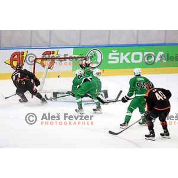 Anthony Morrone of SZ Olimpija during CHL Champions League ice-hockey match between SZ Olimpija (SLO) and Wolfsburg Grizzlies (GER) in Tivoli Hall, Ljubljana, Slovenia on September 10, 2022