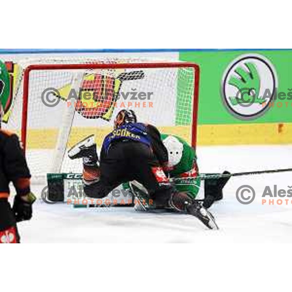 Anthony Morrone of SZ Olimpija during CHL Champions League ice-hockey match between SZ Olimpija (SLO) and Wolfsburg Grizzlies (GER) in Tivoli Hall, Ljubljana, Slovenia on September 10, 2022