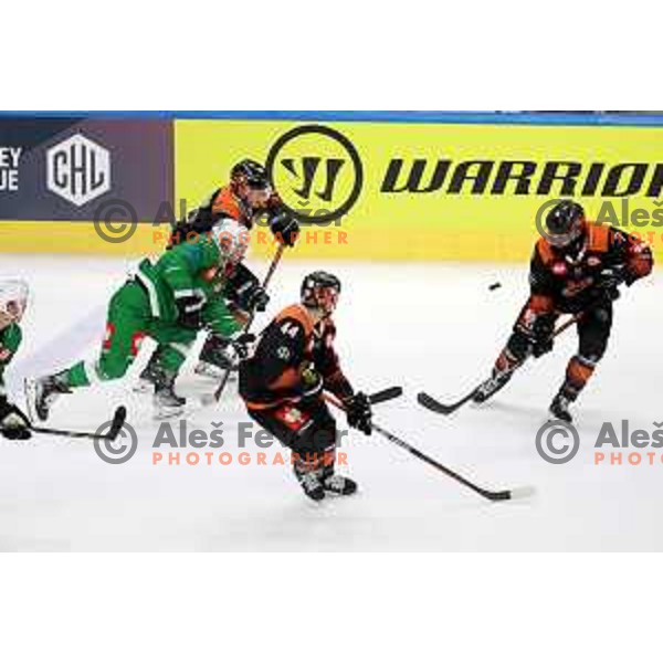 of SZ Olimpija during CHL Champions League ice-hockey match between SZ Olimpija (SLO) and Wolfsburg Grizzlies (GER) in Tivoli Hall, Ljubljana, Slovenia on September 10, 2022