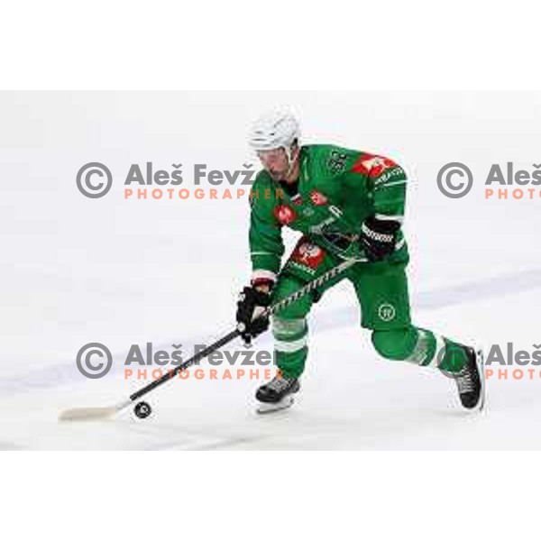 of SZ Olimpija during CHL Champions League ice-hockey match between SZ Olimpija (SLO) and Wolfsburg Grizzlies (GER) in Tivoli Hall, Ljubljana, Slovenia on September 10, 2022