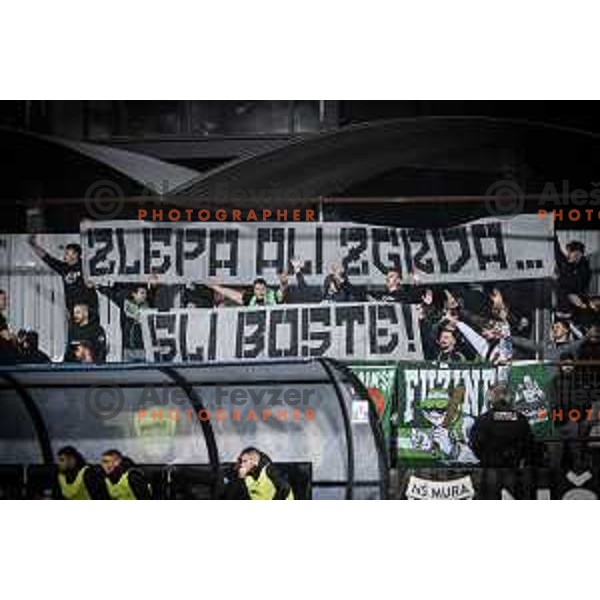 Green Dragons during Prva liga Telemach football match between Mura and Olimpija in Fazanerija, Murska Sobota, Slovenia on September 17, 2022. Photo: Jure Banfi