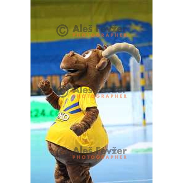 after EHF Champions League handball match between Celje Pivovarna Lasko and THW Kiel in Zlatorog Arena, Celje, Slovenia on September 21, 2022