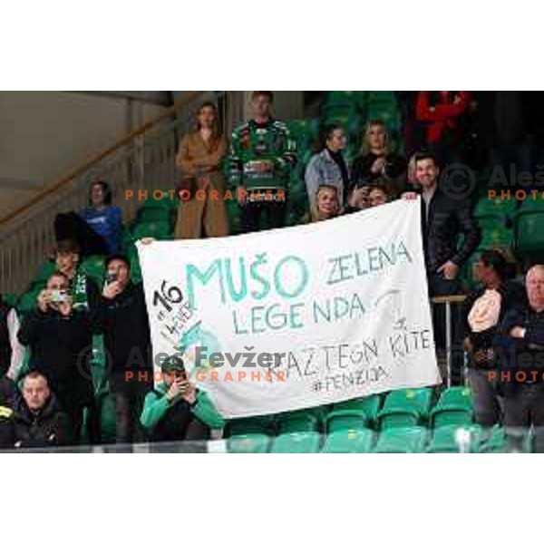 former player Ales Music prior IceHL ice-hockey match between SZ Olimpija (SLO) and Fehervar (HUN) in Tivoli Hall, Ljubljana, Slovenia on October 2, 2022