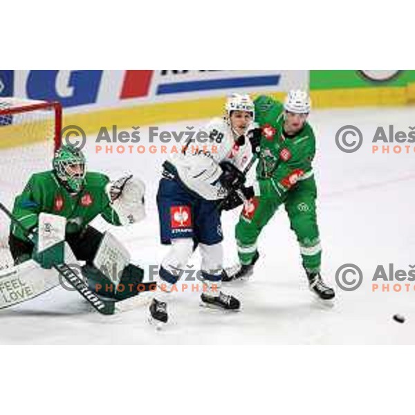 of SZ Olimpija during CHL Champions League ice-hockey match between SZ Olimpija (SLO) and Zug (SUI) in Tivoli Hall, Ljubljana, Slovenia on October 5, 2022