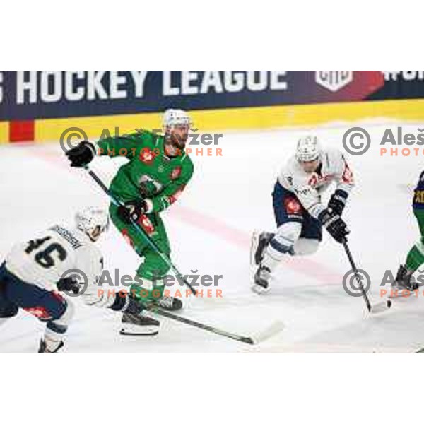 of SZ Olimpija during CHL Champions League ice-hockey match between SZ Olimpija (SLO) and Zug (SUI) in Tivoli Hall, Ljubljana, Slovenia on October 5, 2022