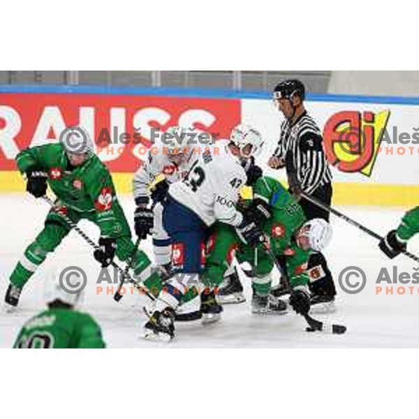 of SZ Olimpija during CHL Champions League ice-hockey match between SZ Olimpija (SLO) and Zug (SUI) in Tivoli Hall, Ljubljana, Slovenia on October 5, 2022