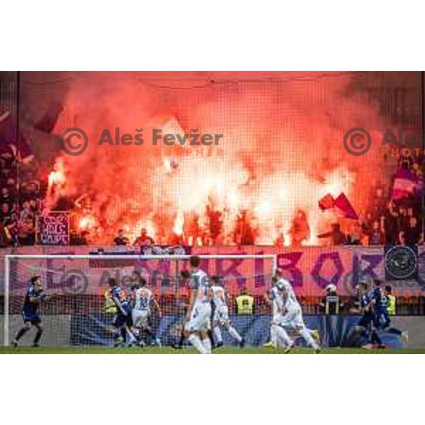 Viole during Prva liga Telemach football match between Maribor and Koper in Ljudski vrt, Maribor, Slovenia on October 8, 2022. Photo: Jure Banfi