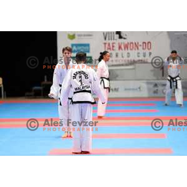 ITF World Cup Taekwondo in Arena Bonifika in Koper, Slovenia on October 3, 2022