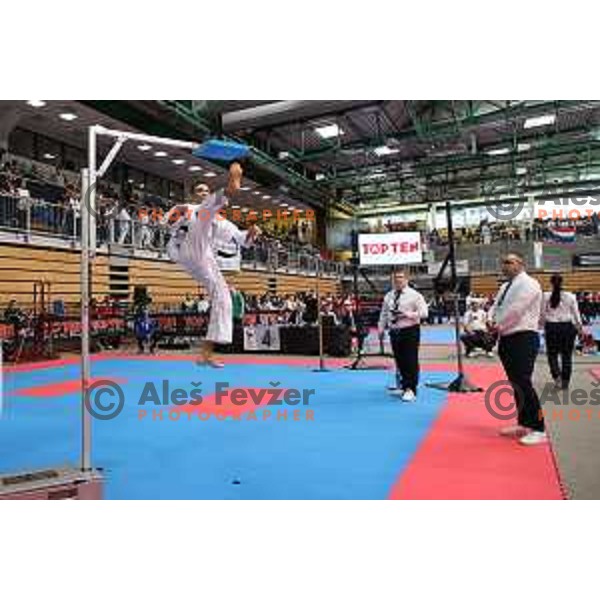 ITF World Cup Taekwondo in Arena Bonifika in Koper, Slovenia on October 3, 2022