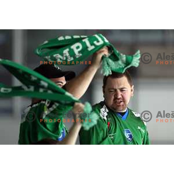 Fans of SZ Olimpija during IceHL ice-hockey match between SZ Olimpija (SLO) and Bolzano Sudtirol Alperia (ITA) in Tivoli Hall, Ljubljana, Slovenia on October 16, 2022