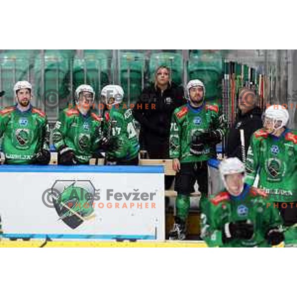 Nik Simsic and Rok Kapel of SZ Olimpija during IceHL ice-hockey match between SZ Olimpija (SLO) and Bolzano Sudtirol Alperia (ITA) in Tivoli Hall, Ljubljana, Slovenia on October 16, 2022