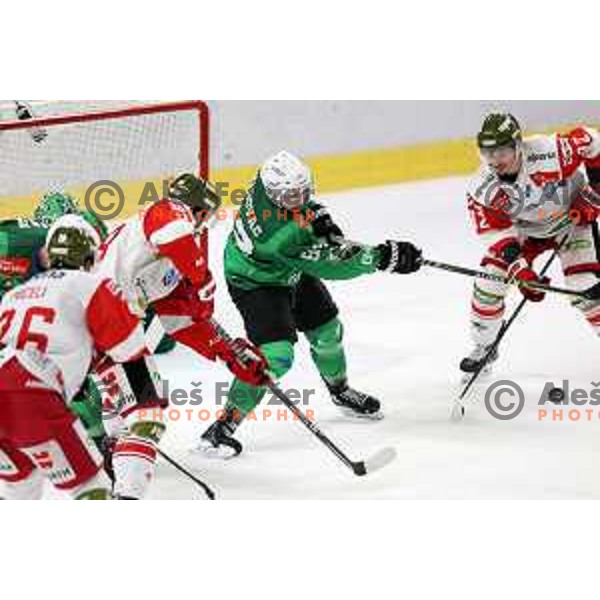 Aleksandar Magovac of SZ Olimpija during IceHL ice-hockey match between SZ Olimpija (SLO) and Bolzano Sudtirol Alperia (ITA) in Tivoli Hall, Ljubljana, Slovenia on October 16, 2022
