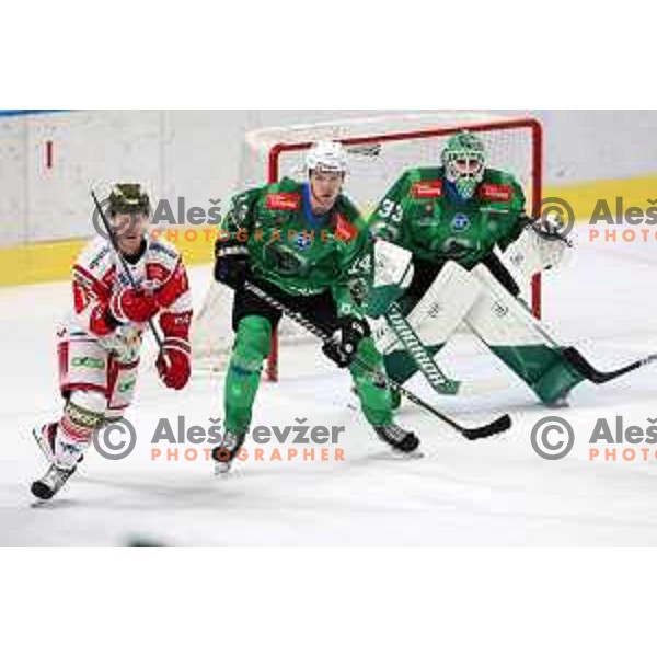 Aljosa Crnovic of SZ Olimpija during IceHL ice-hockey match between SZ Olimpija (SLO) and Bolzano Sudtirol Alperia (ITA) in Tivoli Hall, Ljubljana, Slovenia on October 16, 2022