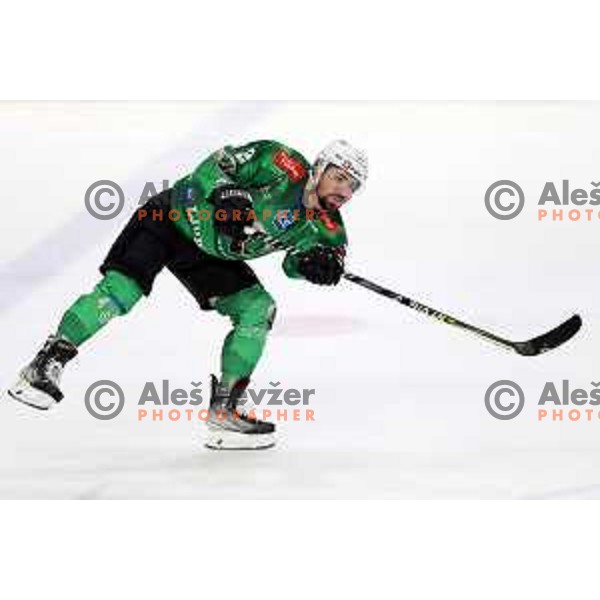 Carl Neill of SZ Olimpija during IceHL ice-hockey match between SZ Olimpija (SLO) and Bolzano Sudtirol Alperia (ITA) in Tivoli Hall, Ljubljana, Slovenia on October 16, 2022