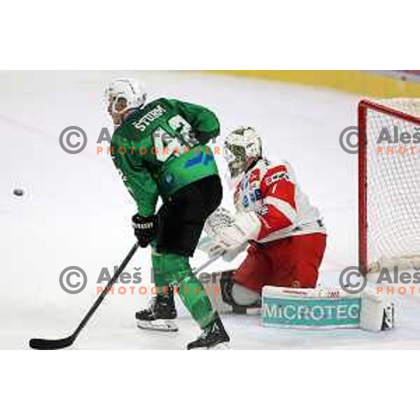 Jaka Sturm of SZ Olimpija in action during IceHL ice-hockey match between SZ Olimpija (SLO) and Bolzano Sudtirol Alperia (ITA) in Tivoli Hall, Ljubljana, Slovenia on October 16, 2022