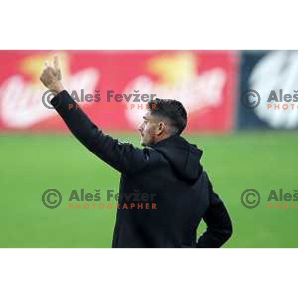 Albert Riera, head coach of Olimpija during Union Slovenian Cup football match between Olimpija and Ivancna Gorica in Ljubljana, Slovenia on October 19, 2022