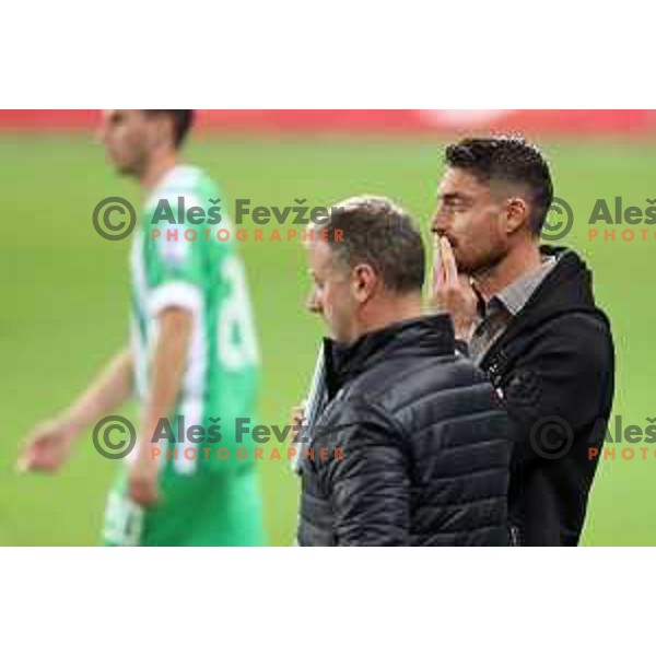 Albert Riera, head coach of Olimpija during Union Slovenian Cup football match between Olimpija and Ivancna Gorica in Ljubljana, Slovenia on October 19, 2022