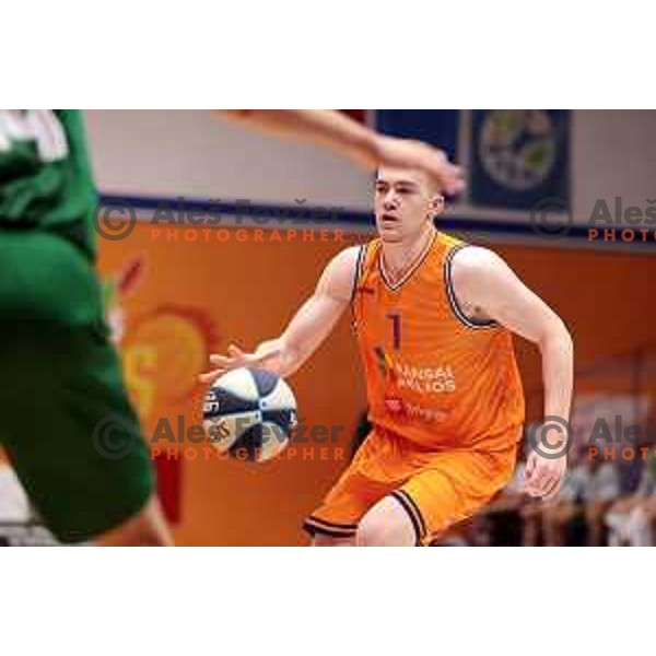 Tibor Mirtic in action during Nova KBM league 2022-2033 regular season match between Helios Suns and Krka in Domzale, Slovenia on October 24, 2022