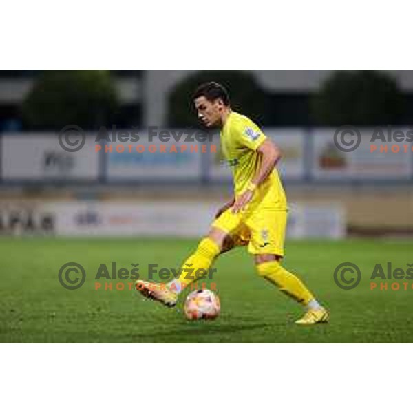 Mirko Mutavcic in action during Prva Liga Telemach 2022-2023 football match between Domzale and Gorica in Domzale, Slovenia on October 28,2022