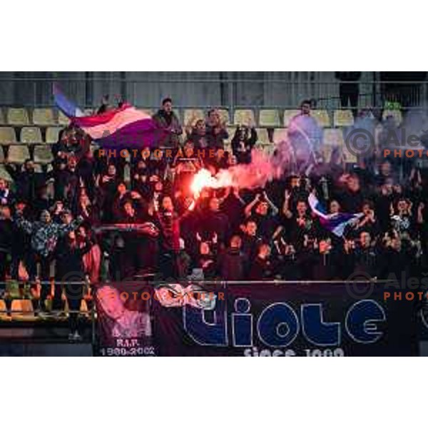 Viole during Prva liga Telemach football match between Celje and Maribor in Arena z’dezele, Celje, Slovenia on October 29, 2022. Photo: Jure Banfi