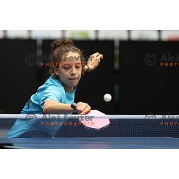 Hana Goda of Egypt competes at World Table Tennis Contender Nova Gorica, Slovenia on November 3, 2022