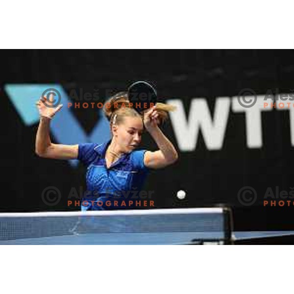 World Table Tennis Contender Nova Gorica, Slovenia on November 3, 2022