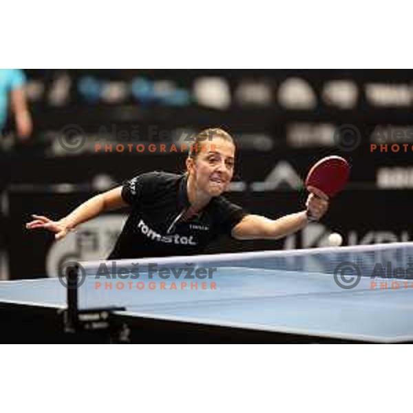 World Table Tennis Contender Nova Gorica, Slovenia on November 3, 2022