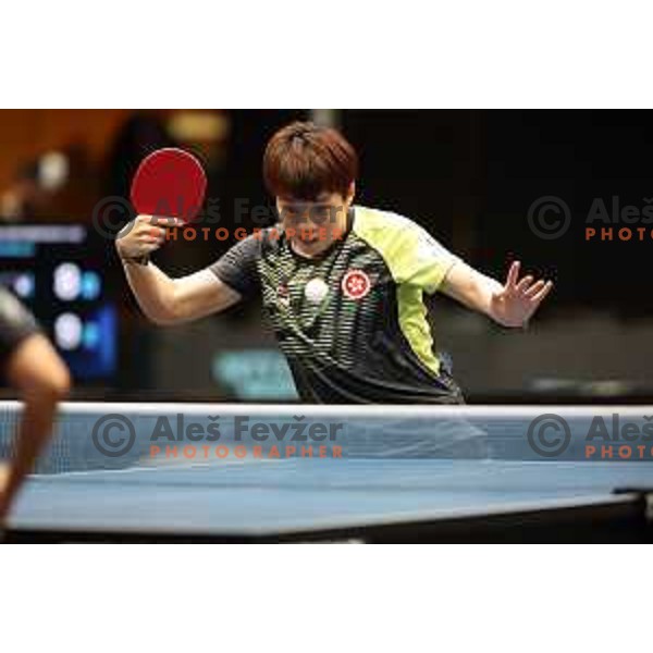 World Table Tennis Contender Nova Gorica, Slovenia on November 3, 2022