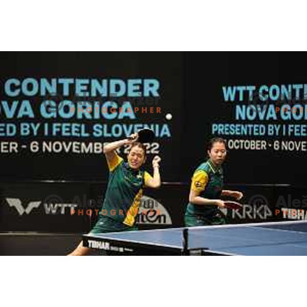 World Table Tennis Contender Nova Gorica, Slovenia on November 3, 2022