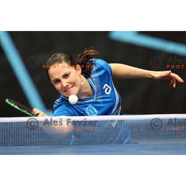 World Table Tennis Contender Nova Gorica, Slovenia on November 3, 2022