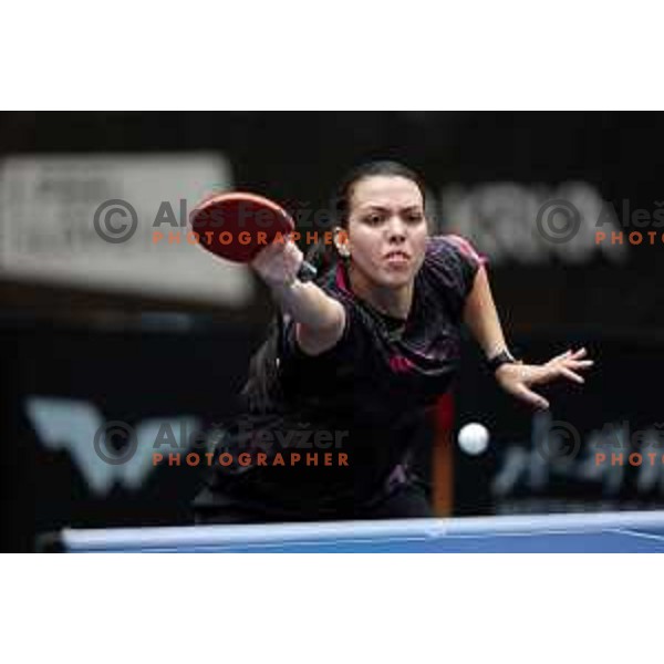 World Table Tennis Contender Nova Gorica, Slovenia on November 3, 2022