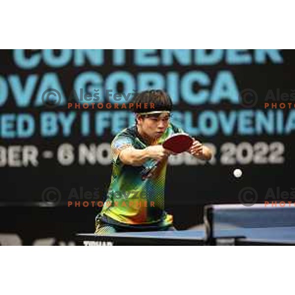 World Table Tennis Contender Nova Gorica, Slovenia on November 3, 2022