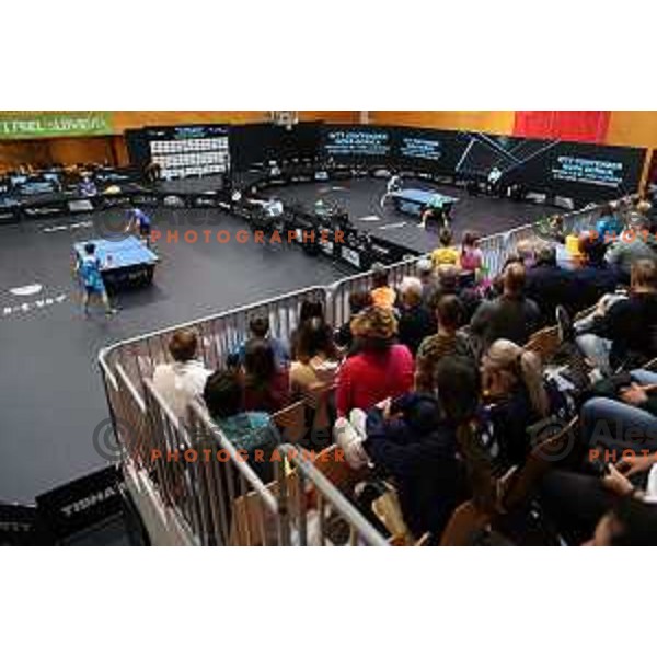 World Table Tennis Contender Nova Gorica, Slovenia on November 3, 2022