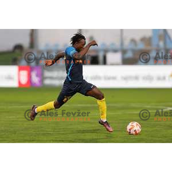 in action during Prva Liga Telemach 2022-2023 football match between Gorica and Celje in Nova Gorica, Slovenia on November 5, 2022