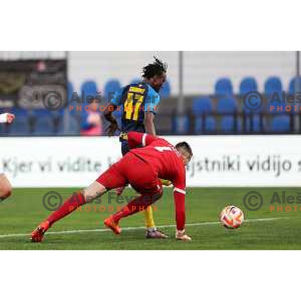 in action during Prva Liga Telemach 2022-2023 football match between Gorica and Celje in Nova Gorica, Slovenia on November 5, 2022