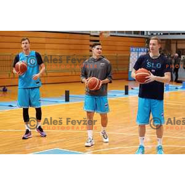 practice of Slovenia National Basketball team in Ljubljana, Slovenia on November 7, 2022