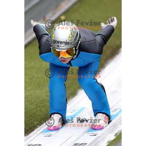 of Slovenia Nordic ski jumping team during practice session in Kranj, Slovenia on November 21, 2022