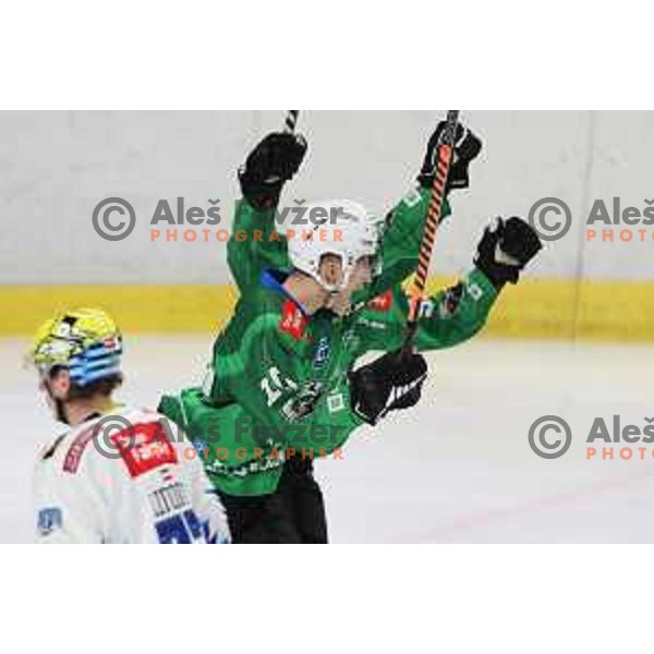 of SZ Olimpija during IceHL ice-hockey match between SZ Olimpija (SLO) and VSV (AUT) in Tivoli Hall, Ljubljana, Slovenia on November 23, 2022