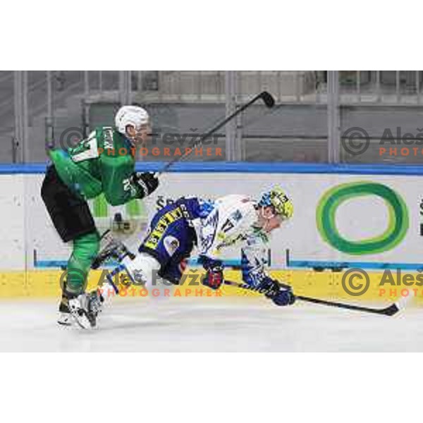 of SZ Olimpija during IceHL ice-hockey match between SZ Olimpija (SLO) and VSV (AUT) in Tivoli Hall, Ljubljana, Slovenia on November 23, 2022