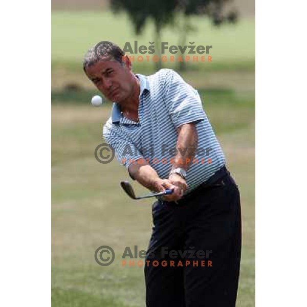 golf tournament of Slovenian- Italian Friendship, played in Lipica 12.7.2008. Photo by Ales Fevzer 