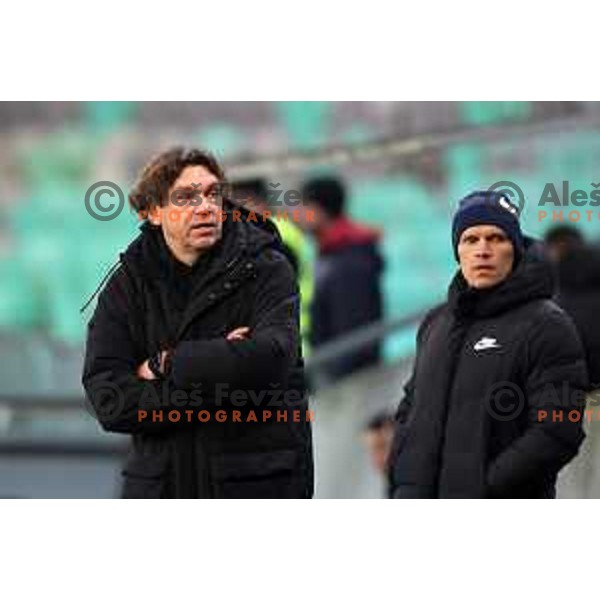 Roman Pylypchuk, head coach of Celje during Prva Liga Telemach 2022-2023 football match between Olimpija and Celje in SRC Stozice, Ljubljana, Slovenia on December 1, 2022