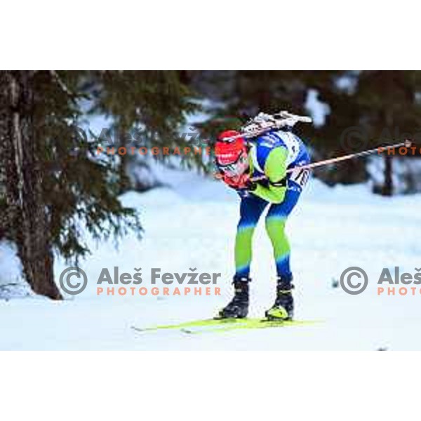 Lovro Planko in action during Men\'s Sprint 10 km at IBU Biathlon World Cup, Pokljuka, Slovenia on January 6, 2023