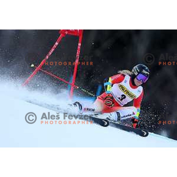 AUDI FIS Ski World Cup Giant Slalom for 59. Golden Fox Zlata Lisica in Kranjska Gora, Slovenia on January 7, 2023