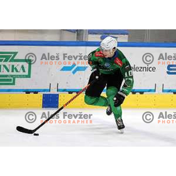 of SZ Olimpija during IceHL ice-hockey match between SZ Olimpija (SLO) and Vienna Capitals (AUT) in Tivoli Hall, Ljubljana, Slovenia on January 8, 2023