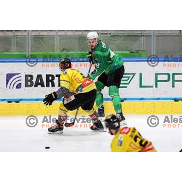 of SZ Olimpija during IceHL ice-hockey match between SZ Olimpija (SLO) and Vienna Capitals (AUT) in Tivoli Hall, Ljubljana, Slovenia on January 8, 2023