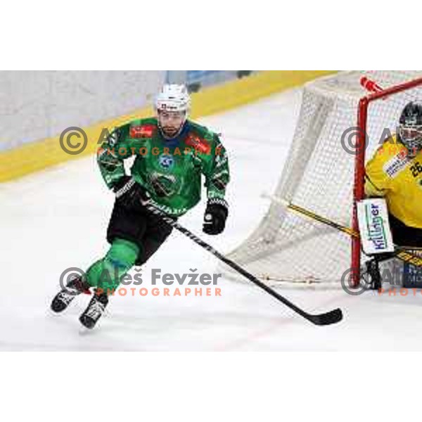 Nik Simsic of SZ Olimpija during IceHL ice-hockey match between SZ Olimpija (SLO) and Vienna Capitals (AUT) in Tivoli Hall, Ljubljana, Slovenia on January 8, 2023